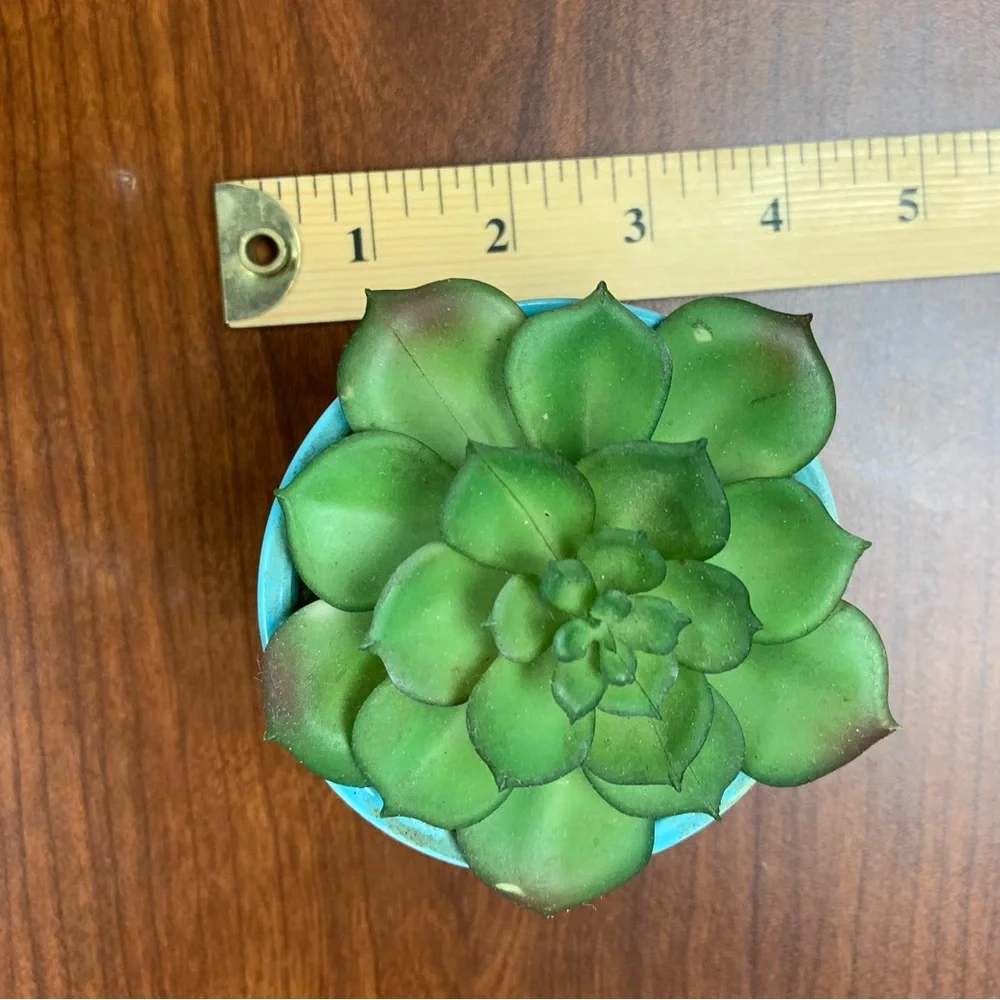 artificial Green Succulent in Blue Planter